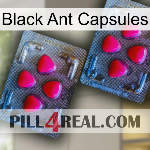 Black Ant Capsules 14.jpg